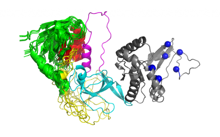 Protein Structure And Function Molecular And Cellular Biophysics Program 5110